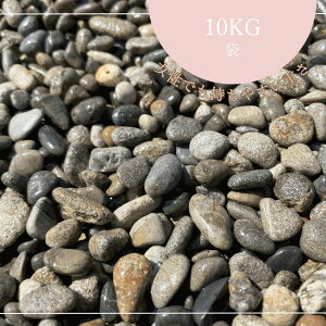 YEVR݂͂܁ilj10kg܁@2E3E4 K[fjO//