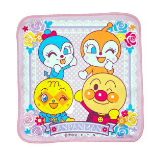 Ap} ~j^I ȃ}CN Ԗ25×25cm