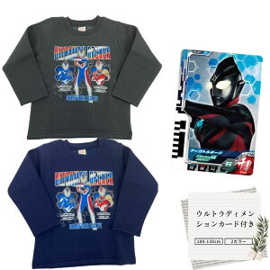 yyVX[p[SALEzyz50% ȏ㊄Ώۏiz[Eg}fbJ[]@Eg}fbJ[ EgfBVJ[ht@ߋtNуg[i[@100/110/120@2J[ilC