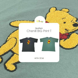 Disney(ディズニー)　phoo プー　レディース ディズニー プリント 半袖 BIG Tシャツ スリット入 M　【母の日】