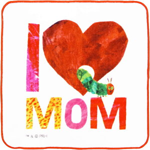 ^InJ` bh 25×25cm ͂؂ނ ACu }