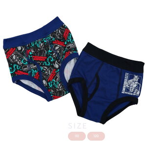 Vׁ@ʃC_[[bc 2g{NT[u[t j