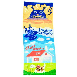 tFCX^I@V[@ꂢIAp}@34×80cm