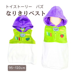 Disney Pixar/fBYj[ sNT[ gCEXg[[ oYECgC[ t[XxXg Ȃ肫 xXg 