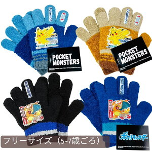 |PbgX^[ sJ`E@U[h jbg܁@̂т̂ю܁@{