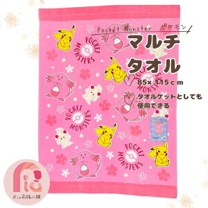 }`^I@`Ch^I@|PbgX^[@85×115cm yzyoX^Izy^IPbgzyqzKN472500