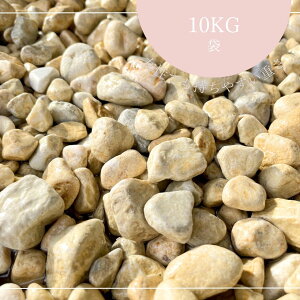 BCG[@ʍiFji15`25mmj10kg܁@ ʍsNʍ/ʍ/킢//K[fjO//