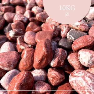 ԋʍiԍj 10kg܁@5TCYi6`30mmjԋʍ/ʍ/ԍ//K[fjO//