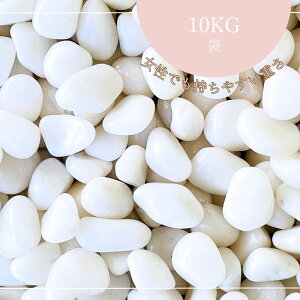 WPOʍ@@10kg܁@6TCY(9mm`60mm܂Łj@򍻗@ 10KG 10kg