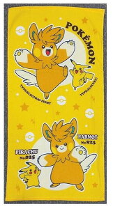  (Hayashi) RpNgoX^I 50×100cm CO480600 |PbgX^[ O4806 CG[ sJ`E 100 v[ECEsp LN^[^I