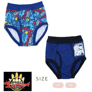 io[SWEW[ j J[u[t A ȍ  2g