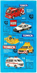  (Hayashi) RpNgoX^I 50×100cm CO480900 g~J I[o[bv 100 z LbYoX^I v[ECEsp