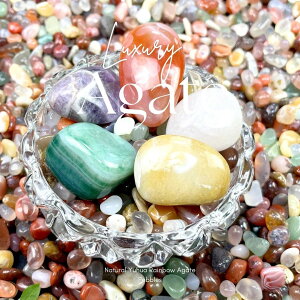 VRJԐ  ʐ 500g CeAEEEp[Xg[ɍœKȃJtVR VR΁Ep[Xg[ECeAE