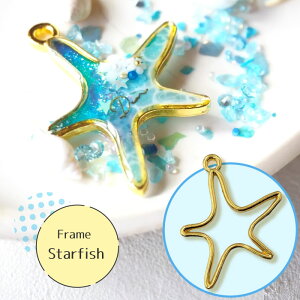 y2z qgf g Wg / J Jt W resin  ANZT[p[c  ޗ nhCh | XehOX X^[tBbV ЂƂ starfish C  summer sea   