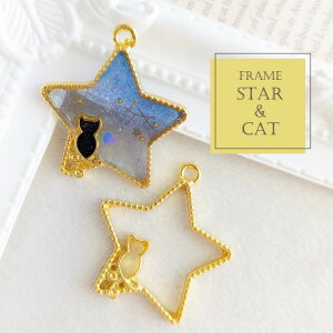 2 lR Wg / gold S[ht[ ANZT[p[c  nhCh Jt g W ̂ L lR ˂  F ق star cat fUCg