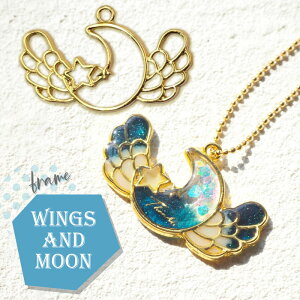 y2z O  H g Wg / J Jt W resin  ANZT[p[c  ޗ nhCh |  moon   H Vg  star wing