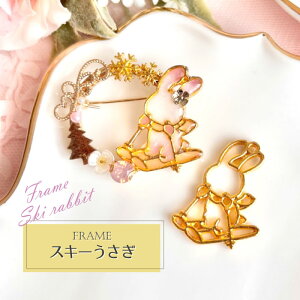 2 XL[  }t[ / ETM Wg / gold S[ht[ ANZT[p[c  nhCh Jt g W Aj} ski ~ winter EC^[X|[c