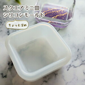 pۃXNGA ~jM VR[h Ɛ[߁^@W^@Silicon mold@́@nhCh