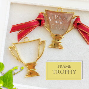 2 gtB[ Wg / gold S[ht[ ANZT[p[c  nhCh Jt g W DJbv gtB trophy cup