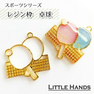 2@싅@Wg@/ @X|[c@S[ht[@ANZT[p[c@ށ@nhCh@L[z_[@Jt@g@W@t[