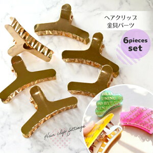 6Zbg wANbv  p[c Zbg / wAANZ l  Wt Ntg nhCh   v[g | H IWiANZT[ S[h oXN