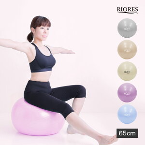 oX{[ 65cm PiA`o[Xg dl Ct ω׏d250kg  _CGbg K{[ GNTTCY K ؃g ̊g[jO ^ \tg seBX ֎q