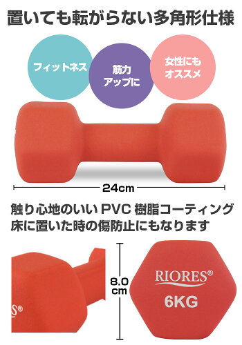 【即納/送料無料】ダンベル5.0kg2個セットアンクルエクササイズアンクルウェイトフィットネスダイエットストレッチ【REV300】
