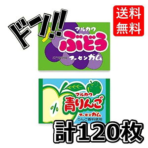 y|Cg10{zԂǂK +񂲃K e1(55+5)v120 }Jt[ZK ʉَq XebJ[t(2Zbg)@@@R[@tBb