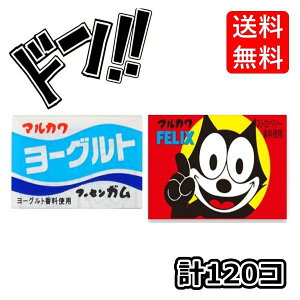 tBbNXK +[OgK e1(55+5)v120 }Jt[ZK ʉَq XebJ[t(2Zbg)@@@R[@t