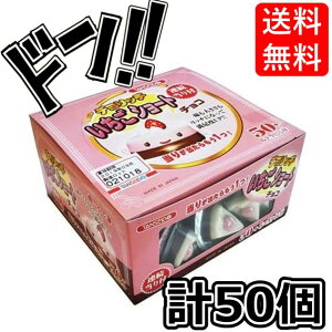 yX[p[DEAL 11/5 9:59܂ŁzfRb`C`SV[g`R 50 O Ղ C`S oii LN^[ `R[g 肢 ݂  ʉَq ii zp ΂܂ ܂Ƃߔ C