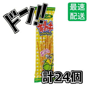 y50̂N[|tIz|bL[ R[ 16g 24 XibNَq Ƃ낱@vbcF@ii@lC@@Cxg@q@َq@ʉَq@@v[g