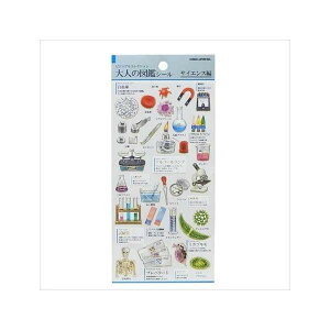 1812l̐} V[ (K21384TCGX)@J~IWp@V[@lC@fUC@fR[V@@蒠@XebJ[@@@[@}j