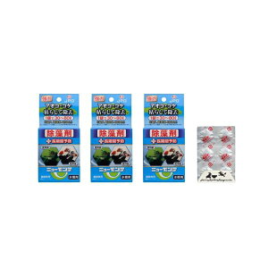 �y�|�C���g10�{�z�����p������ �j���[�����e 3�� �i1��6�����j ������ �j���[�����e �A�I�R �R�P ������ �Ϗ܋��p �����p �\�h ���� (A.3��)