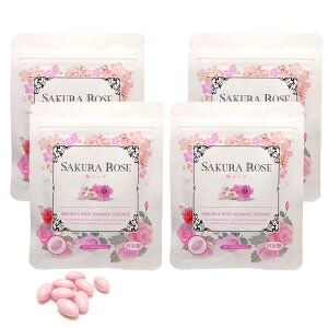 yX[p[DEAL 11/5 9:59܂ŁzZkTv [Y Z ̍ [Y̍ uKAY[Ygp Tvg 4܃Zbg