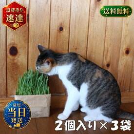 無印良品 猫草栽培セット 3袋セット 猫草 猫草栽培キット ねこくさ 猫 にゃんべじ 猫草 ねこくさ 猫草栽培セット 栽培 キット ニャンベジ 猫用草 セット まとめ買い 中身がこぼれない 安心