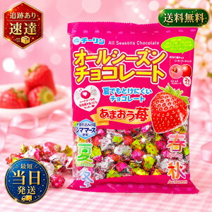 �I�[���V�[�Y���`���R���[�g �y ���܂���� 100g | 300g �z �������`���R �V���K�[�R�[�e�B���O �`���R�� � �Ɩ��p ���َq �ʉَq �����