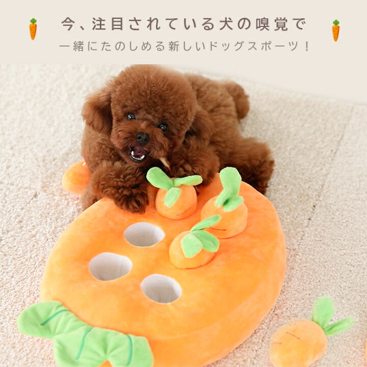 楽天市場 ペットおもちゃ ペット おもちゃ ペット用品 犬 Snsで大人気 にんじん畑 いぬ 猫 ねこ ノーズワーク 知育玩具 ぬいぐるみ 人参 パイナップル いちご狩り トイ 遊び場所 性格改善 運動不足 ストレス解消 犬歯磨き Rioty リオティ