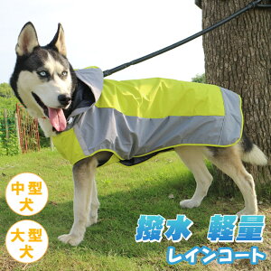 hbOEFA CR[g ^ ^ CEFA ybgObY ybg t[ht pi hp[J[}WbNe[v ˔