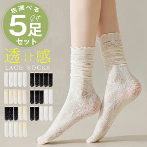 y5ZbgI1276~_Pz C \bNX V[X[ [X\bNX fB[X t  fB[X   C  n \bNX t   V[gu[c C q[