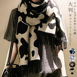 唻Xg[ uPbg 唻Xg[o[Vu 唻TCY }t[ XJ[t  Nъ ۉ _炩f |  G  `[t tWt ~