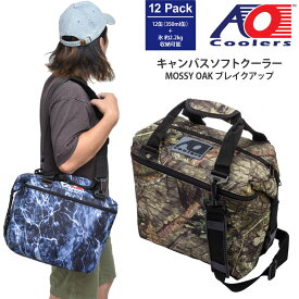 楽天市場 Ao クーラー 12の通販