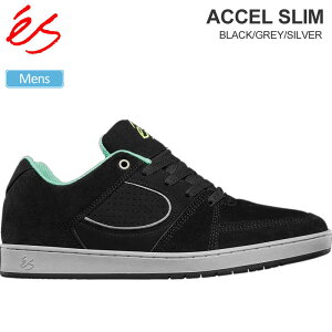 GX 'es Xj[J[ XP[gV[Y Y ANZX ACCEL SLIM ubN O[ Vo[ 2023AW 23FALL snkyCz2309ripe