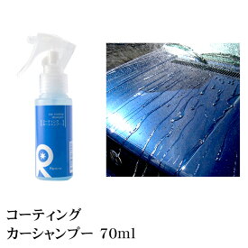 楽天市場 カーシャンプー 水垢の通販