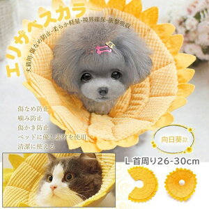 GUxXJ[  \tg z p ^ ^p NbV _炩 \tg^Cv X|W }WbNe[v y Ђ܂ L 26-30cm h[ic pi