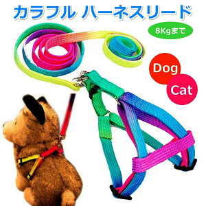  L n[lX[h ̌^ n[lX[hZbg n[lX [h ^ ^ q p Lp ^p    ybg 8kȓ y R^Cv C{[