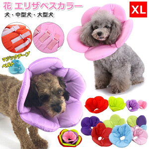 犬 エリザベスカラー 健康管理用品の人気商品 通販 価格比較 価格 Com