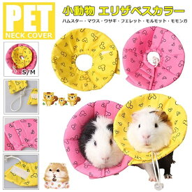 楽天市場 エリザベスカラー うさぎの通販 楽天市場 エリザベスカラー うさぎの通販