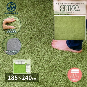  ŐO V[@ lH Ő AlH O J[ybg ~`O `O `O   rO ~  I[V[Y zbgJ[ybg g[Ή 