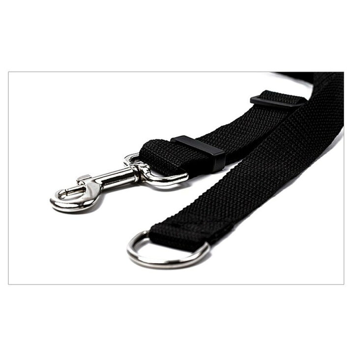 最上の品質な 丈夫 ロングリード 犬 海 走れる ドッグラン 海外 しつけ ペット用品 Ltr Com Tr