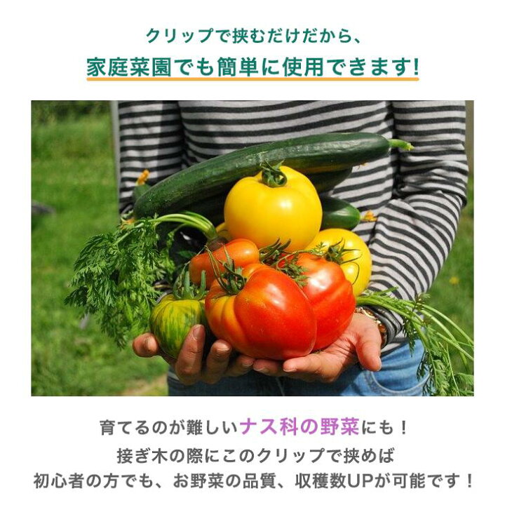 楽天市場 接ぎ木クリップ 1000個入 内径1 8mm 対応内径1 8 2 1mm ナス科 接ぎ木 苗 幼苗 接木 1 8mm 1 9mm 2 0mm 2 1mm 接ぎ木クリップ トマト ナス 接木クリップ全農式接ぎ木 全農式幼苗接ぎ木苗 Rirai 楽天市場店